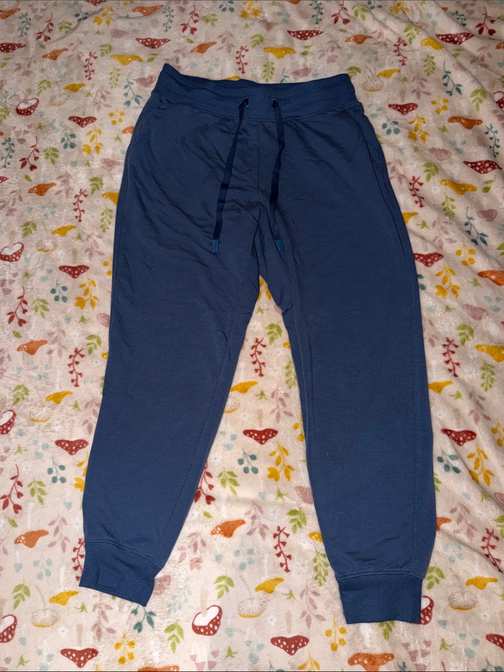 Athletic Works Ocean Blue Joggers